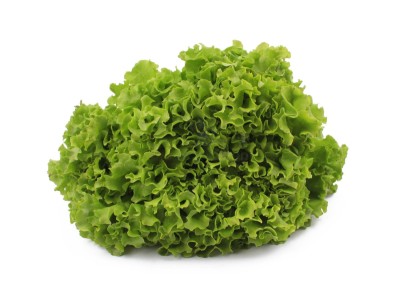 Салат айсберг 300 г - купить в Кириклеевском Майдане